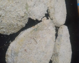 Foto del paso 6 de la receta: Milanesa de Berenjena Napolitana