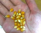 Hình bước làm 1 của món Bắp rang Caramel 🍿
