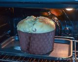 A picture of step 15 of Homemade Panettone.