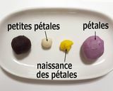 Une image de l'étape 4 de Nerikiri Wagashi: 