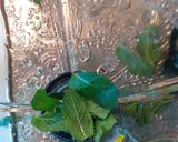 A picture of step 2 of Tropical mint mojito.