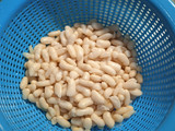 Ensalada de alubias
