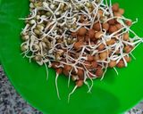 A picture of step 1 of Sprout Chaat.