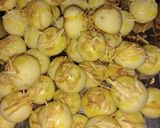 Foto langkah ke 5 dari resep Nastar Anti Gagal.