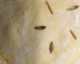 Foto del paso 4 de la receta: Empanada gallega