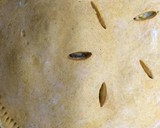Foto del paso 4 de la receta: Empanada gallega