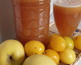 Foto del paso 6 de la receta: Jugo Casero de ciruelas con manzana verde