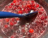 A picture of step 2 of Cranberry Sauce.