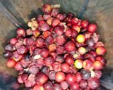 A picture of step 1 of Pulpy Falsa Juice.