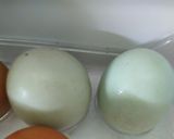 Foto langkah ke 1 dari resep Teh Talua (Teh Telur khas Minang).