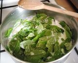 A picture of step 2 of Vickys Fresh Mint Ice Cream, GF DF EF SF NF Vegan.