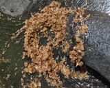 Foto langkah ke 2 dari resep Peyek Tempe.