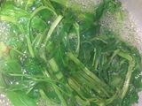 Kangkung keju