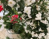 Une image de l'étape 2 de 🪻🌸 farandole de fleurs d’été 🪷🌼🌺🌺.