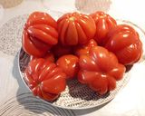 Une image de l'étape 2 de Sauce tomate (pour bolognaise).