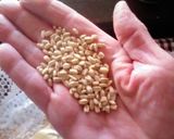 Foto del paso 3 de la receta: Cebada perlada con text. de soja y verduras
