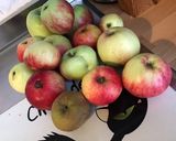 Une image de l'étape 1 de Compote de pommes du jardin au sirop d érable.
