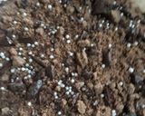 A picture of step 8 of Choco dessert.