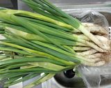 Foto del paso 2 de la receta Calçots y salsa