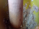 Albóndigas a la jardinera