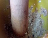 Foto del paso 3 de la receta: Albóndigas a la jardinera