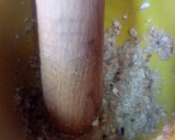 Foto del paso 3 de la receta: Albóndigas a la jardinera
