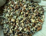 A picture of step 1 of Kwati (Nepalese Traditional Newari style mixed sprouted legumes soup).