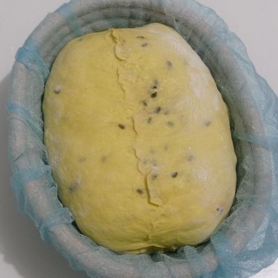 Langkah 10