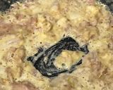 A picture of step 2 of Bow Tie Italian Pasta (white Sauce).