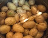 Foto del paso 2 de la receta: Romeritos