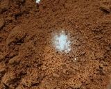 A picture of step 2 of Chocolate Idli.