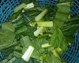 Foto langkah ke 1 dari resep Tumis sawi hijau bawang putih.