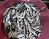 Foto langkah ke 1 dari resep Ikan tembang cabe ijo.