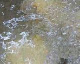 A picture of step 3 of Batata vara.