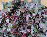 A picture of step 1 of Amaranth and Hara cholia Curry.