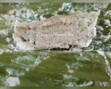 Foto langkah ke 6 dari resep Gadon Daging Sapi Gurih.