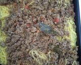 Foto del paso 4 de la receta: Tuco sencillo!