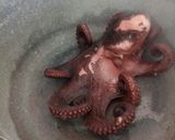 A picture of step 3 of Octopus salad.