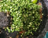 Foto langkah ke 2 dari resep Pencok Kacang Panjang.