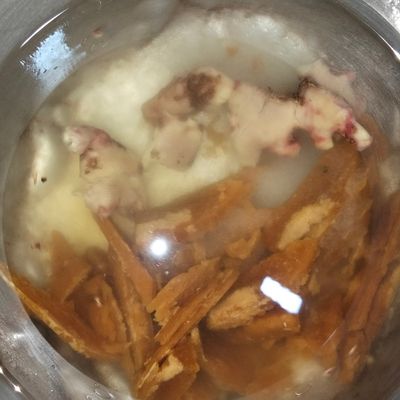 Langkah 4