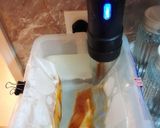 葛瑪蘭威士忌醉鵝肝的食譜步驟2照片