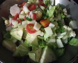 A picture of step 1 of MixVeg.