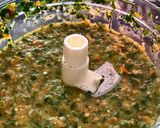 Une image de l'étape 5 de Marinade pour vos viandes et poissons.