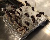 Une image de l'étape 6 de Bouchées de clémentines au chocolat.