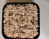 Ciasto przekładana Zebra krok przepisu 5 zdjęcie