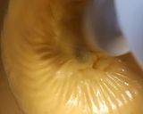 Foto del paso 1 de la receta: Torta con la pulpa que descarta de la juguera