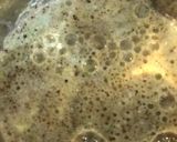 A picture of step 3 of Dry-Fruits & Makhana Milk Shake 💁🏻♀️.