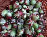Foto langkah ke 1 dari resep Selai Rosella Homemade.