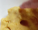 Foto del paso 4 de la receta: Pasta frola de dulce de leche