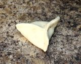 A picture of step 10 of Zingy Spinach Parcels.